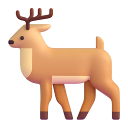 Deer